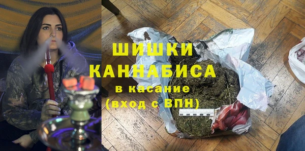 шишки Горно-Алтайск