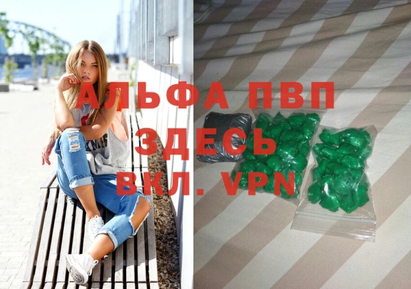 ПСИЛОЦИБИНОВЫЕ ГРИБЫ Вяземский