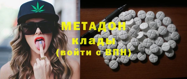 ПСИЛОЦИБИНОВЫЕ ГРИБЫ Вяземский
