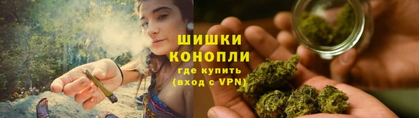 ПСИЛОЦИБИНОВЫЕ ГРИБЫ Вяземский