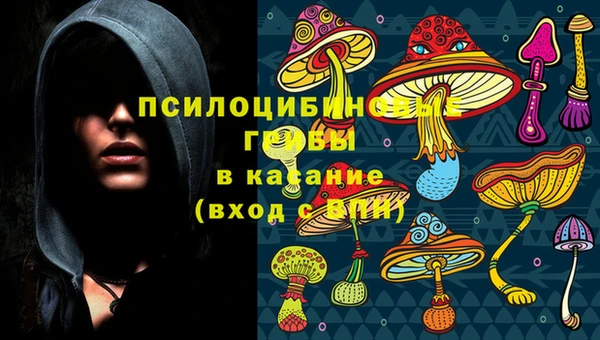 Альфа ПВП Вязьма