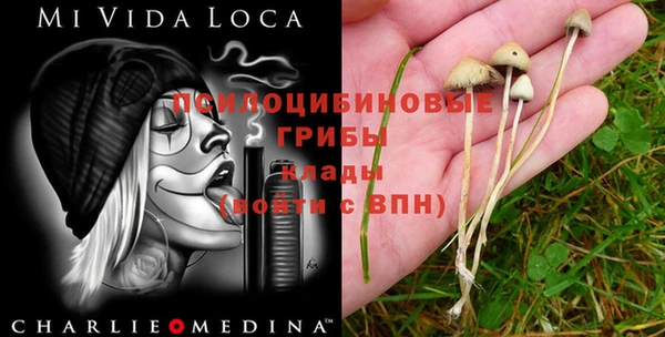 Альфа ПВП Вязники