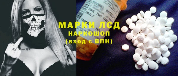 ПСИЛОЦИБИНОВЫЕ ГРИБЫ Вяземский