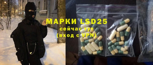 ПСИЛОЦИБИНОВЫЕ ГРИБЫ Вяземский