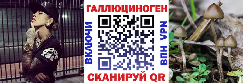 Купить закладки Озёрск Псилоцибиновые грибы MAGIC MUSHROOMS