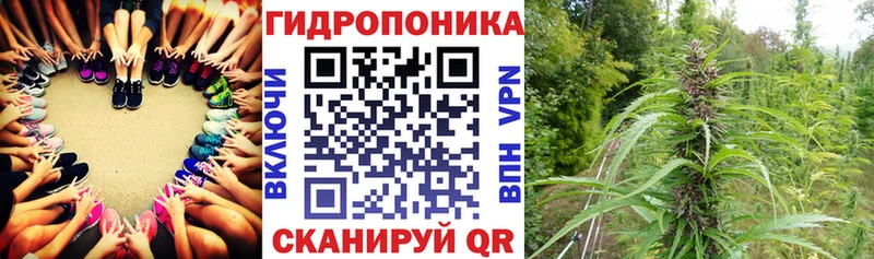 Шишки марихуана AK-47  Купить где  Озёрск 